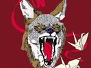 HIATUS KAIYOTE TAWK TOMAHAWK LP VINYL 33RPM BRAND NEW