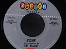 RAY STANLEY: Pushin' 45 Rockabilly