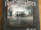 Black Stone Cherry - Kentucky  12