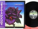 THIN LIZZY BLACK ROSE A AROCK LEGEND VERTIGO RJ-7587 Japan OBI Vinyl LP