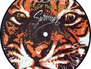 Eye Of The Tiger Survivor 7