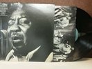 Muddy Waters 