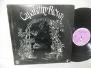 CAPABILITY BROWN nr mint vinyl lp SCRATCHING THE SURFACE