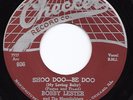 Doo Wop R&B 45 BOBBY LESTER Shoo Doo-Be Doo/So All Alone HEAR Checker