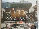Brand New/Still Sealed Wilco (The Album) LP Vinyl Album