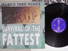 VA(HI-STANDARD) SURVIVAL OF THE FATTEST FAT WRECK CHORDS FAT 538-1 US Vinyl LP