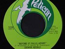 DENISE KEEBLE: Before It Falls Apart / Chain On My Thing 45 Soul