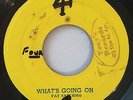 PAT SATCHMO - WHAT'S GOING ON  - HIGH SCHOOL ( ROOTS REGGAE 7 ) GREAT COVER