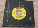 THE MARVELETTES - I'LL KEEP HOLDING ON - US TAMLA 54116 - 1965
