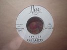 Leaves ex promo 7 Hey Joe / Funny Little World