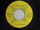 E.J. & The Echoes 45 IF IT TAKES A LIFE TIME / SAY YOU'RE MINE w.harmony M- soul