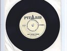 The Maytals . Dont Trouble Trouble .