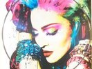 Madonna Fever in Cologne Vinyl LP Picture Disc New Rebel Heart Tour pic sleeve