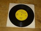 Seducer - Call Your Name/Survivor org 1983 7