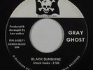 Psych Fuzz 45 - Gray Ghost - Black Sunshine - Pirate - VG+ mp3