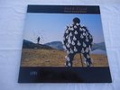 PINK FLOYD - DELICATE SOUND OF THUNDER - SPAIN VINYL - 176 79 1480 1