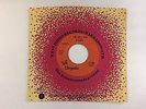 BLONDIE The tide is high BARBADOS PRESS SP CHRYSALIS CHS 2465