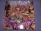 THE 13th FLOOR ELEVATORS 