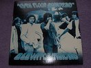 THE 13th FLOOR ELEVATORS 