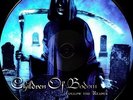 Follow The Reaper - Children Of Bodom (2009, Vinyl NEUF)
