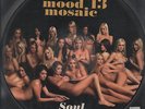 THE MOOD MOSAIC 13 - RARO PICTURE DISC SEXY COVER