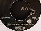 Mamie Lee....I Can Feel Him Slipping Away