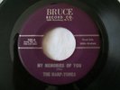 THE HARPTONES DOO WOP 45 ON BRUCE 102 MY MEMORIES OF YOU