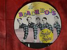 Picture Disc The Beach Boys 