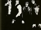 The Flamin Groovies Now NEAR MINT Sire Vinyl LP