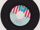 CHERRY SLUSH--I CANNOT STOP YOU / DON'T WALK AWAY--USA-895-GREAT MICHIGAN GARAGE