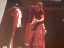 Bruce Springsteen Small Town Boy Swingin Pig TSP 037