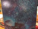 LOVE OUT HERE ARTHUR LEE GATEFOLD BLUE THUMB RECORDS 2 LP VINYL RECORD SET