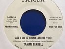 BRENDA HOLLOWAY/TAMMI TERELL - ALL I DO - MOTOWN - TAMLA - NORTHERN SOUL - SOUL