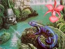 Clarity Recordings CNB-1002: Claudia Gomez, Salamandra, Tim de Paravicini, OOP