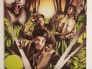 Straight Out the Jungle [LP] by Jungle Brothers (Orig Vinyl, 1988, Warlock...
