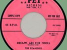REVALONS Dreams Are for Fools / This Is the Moment 45rpm Pet 1958 pink promo