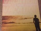Bomb The Music Industry Jeff Rosenstock Vacation ska punk vinyl