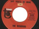 Northern Soul Girl Group 45 THE ROSEBUDS 