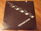The Undertones Teenage Kicks vinyl picture sleeve sire records