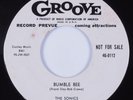 Doo Wop R&B 45 SONICS Bumble Bee GROOVE HEAR