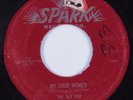 Blues Rocker 45 SLY FOX My Four Women SPARK HEAR