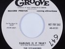 Doo Wop 45 SYCAMORES Darling Is It True? GROOVE VG+ HEAR