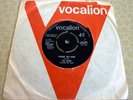 THE SEEDS, PUSHIN’ TOO HARD/TRY TO UNDERSTAND, A RARE 1966 VOCALION RECORDS 45.