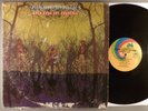 American Blues  American Blues Do Their Thing    Psych; Blues Rock