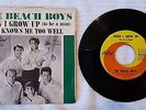 The Beach Boys When I Grow Up (To Be A Man)/She Knows Me Too Well W/ Pic Sleeve