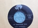 The Sensations Wild - Love Somebody, Love Someone 7