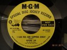 NORTHERN SOUL ; MAMIE LEE / I CAN FEEL HIM SLIPPING AWAY ( M-G-M DEMO )