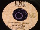 Freaky Spaced-out Garage Psych Funk 45 Brian Ingland World of Gorillas EX HEAR