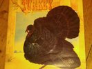 WILD TURKEY - WILD TURKEY LP CHR1010 CHRYSALIS 1972 VG+