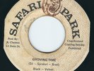 Black Velvet - Grooving Time / Dub - Safari Park 7